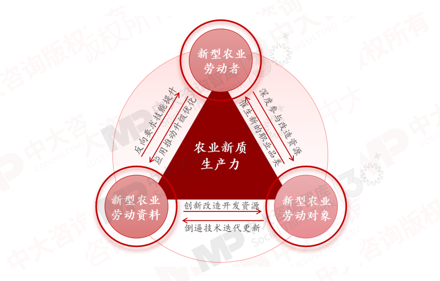 解碼農(nóng)業(yè)新質(zhì)生產(chǎn)力,農(nóng)業(yè)發(fā)展如何從“新”出發(fā) 解碼農(nóng)業(yè)新質(zhì)生產(chǎn)力,農(nóng)業(yè)發(fā)展如何從“新”出發(fā)