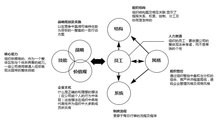 全面管理診斷