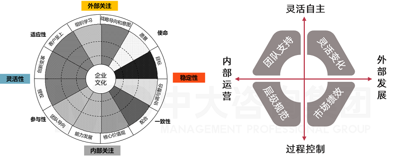 中大咨詢企業(yè)文化測(cè)評(píng)分析工具模型