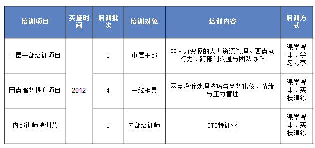 中大咨詢項目思路