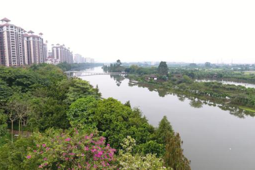 中大咨詢：順德高質(zhì)量發(fā)展體制機(jī)制改革創(chuàng)新實(shí)驗(yàn)區(qū)建設(shè)再結(jié)碩果，順德國(guó)資國(guó)企改革站上新臺(tái)階