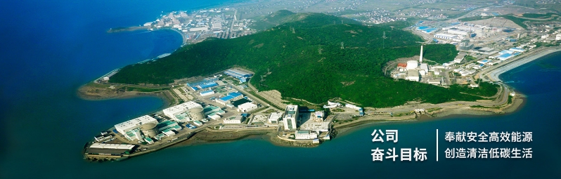 中大咨詢(xún):某大型核電公司市值管理項(xiàng)目 中大咨詢(xún):某大型核電公司市值管理項(xiàng)目