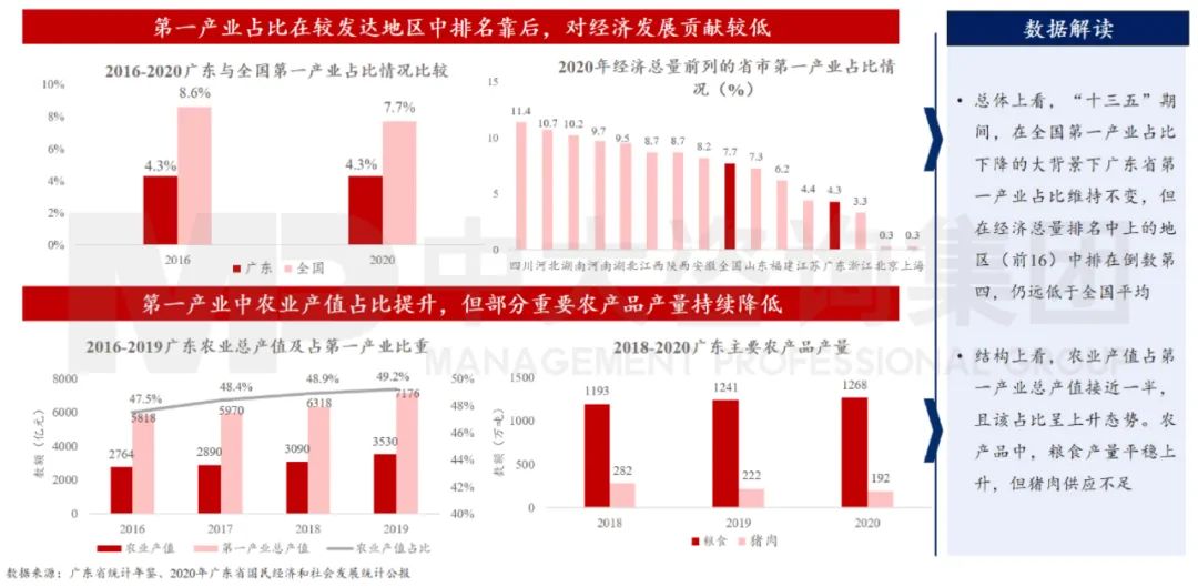 中大咨詢：廣東省第一產業(yè)保持總體穩(wěn)定