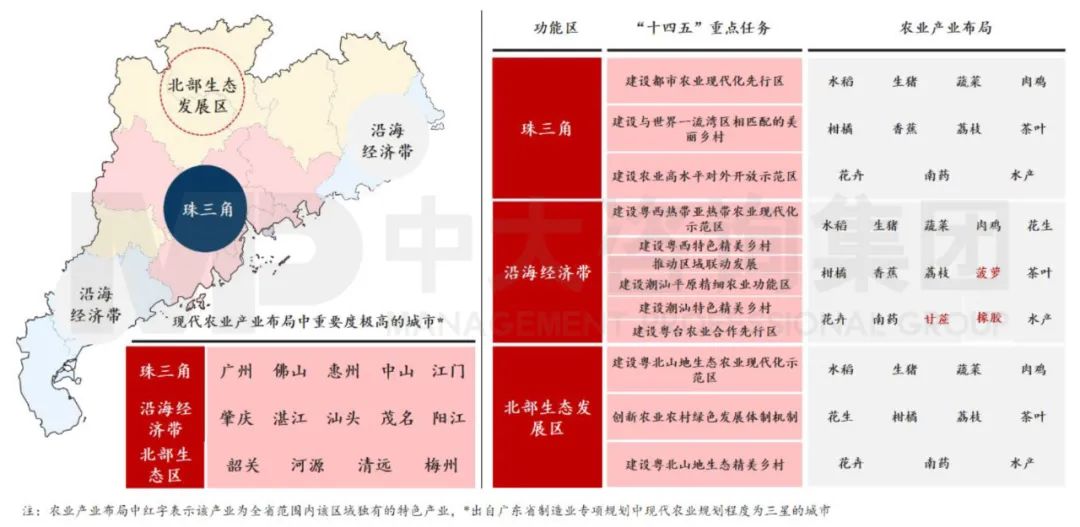 中大咨詢：廣東省農村農業(yè)專項規(guī)劃