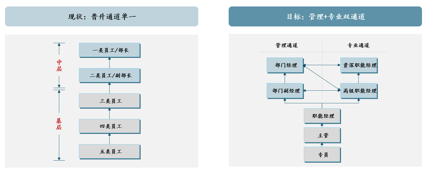  圖 3 打造“管理+專業(yè)”雙通道，中大咨詢整理