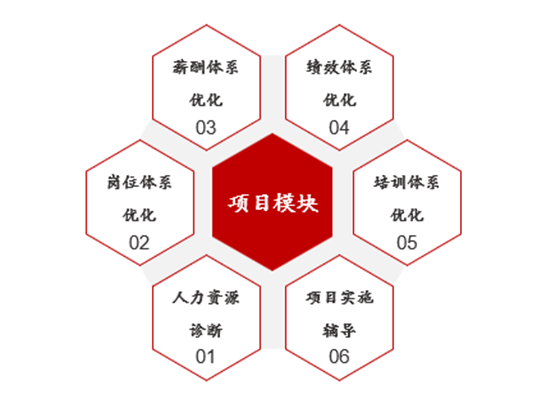 某軍工高科技民企全面管理提升項目