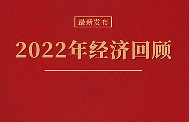 2022年經(jīng)濟回顧