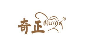 奇正集團(tuán)