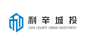 利辛城投